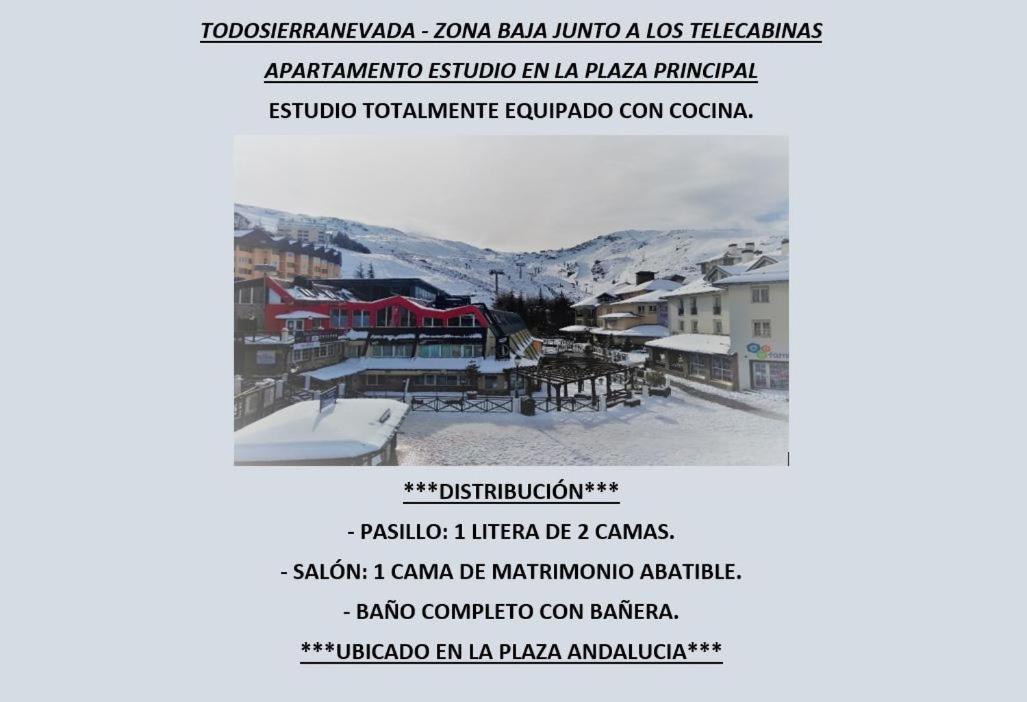 Plaza & Zona Baja Sierra Nevada